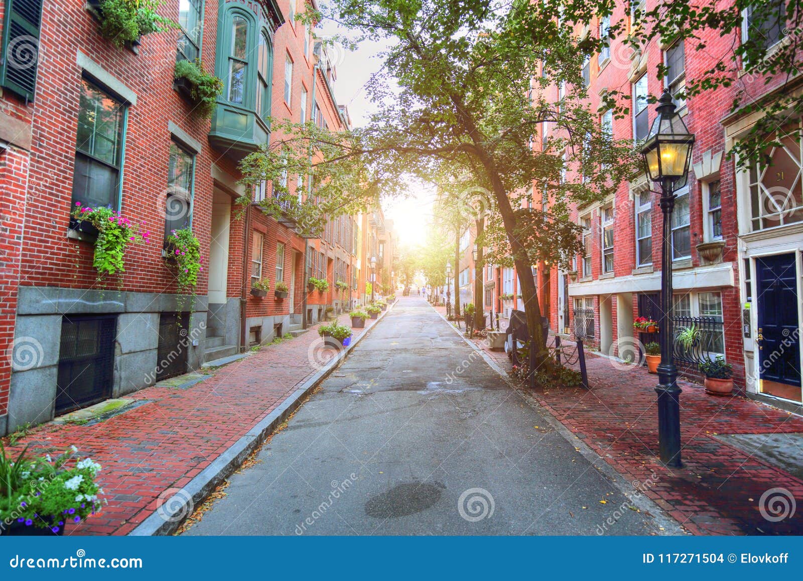 Boston, Beacon Hill Streets Stock Photo Image of flowers, houses