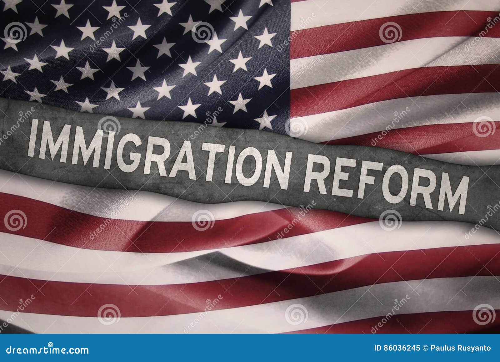 usa flag with immigration reform word