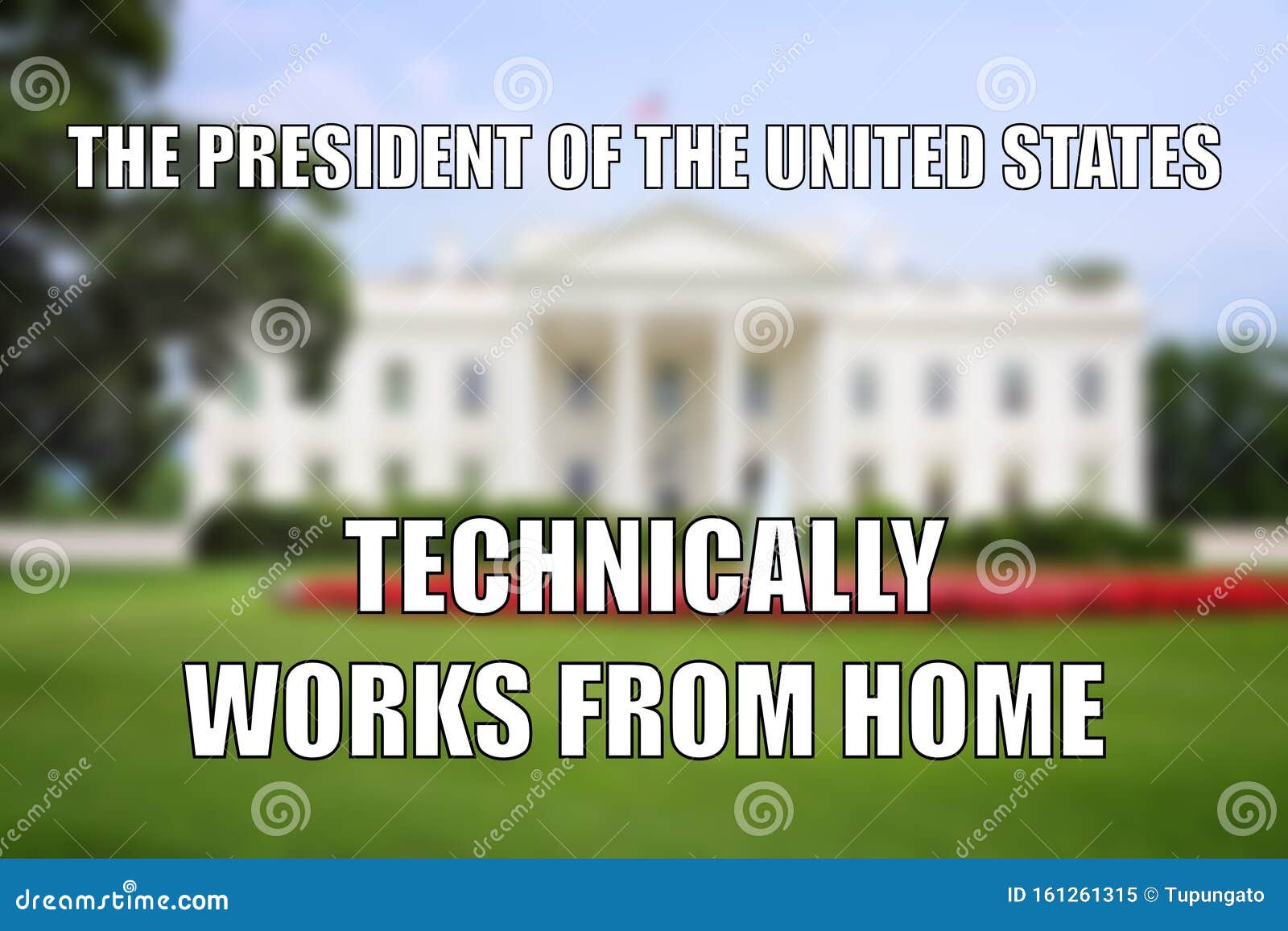 USA funny meme stock image. Image of work, social, states - 161261315