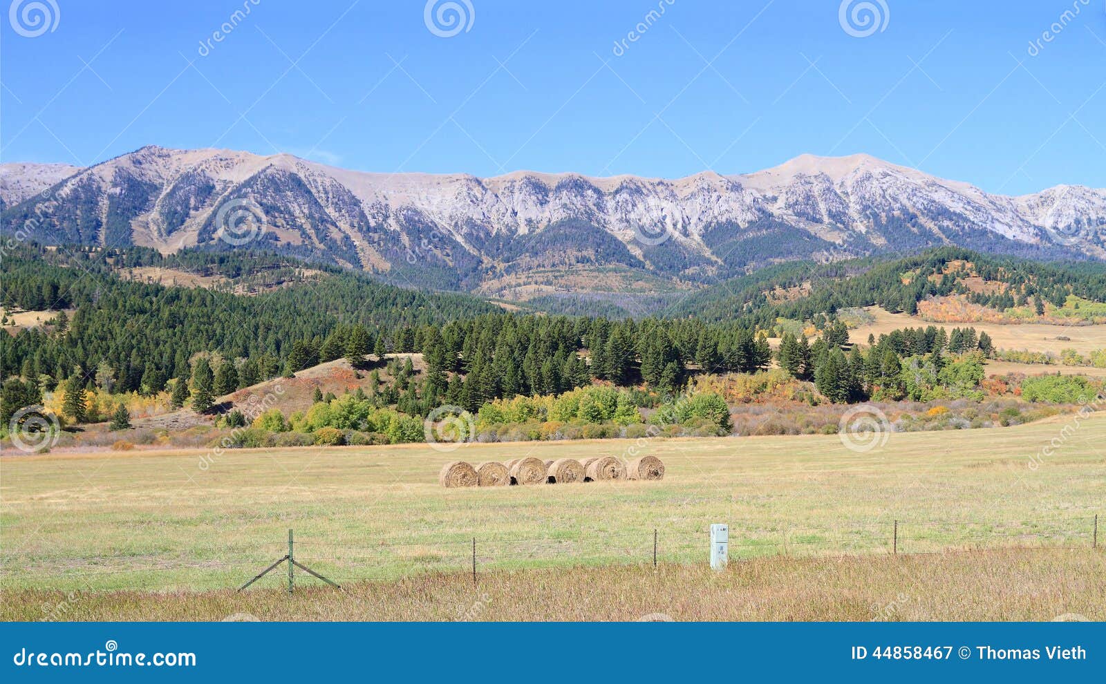 usa, montana: landscape - bridger mountain range