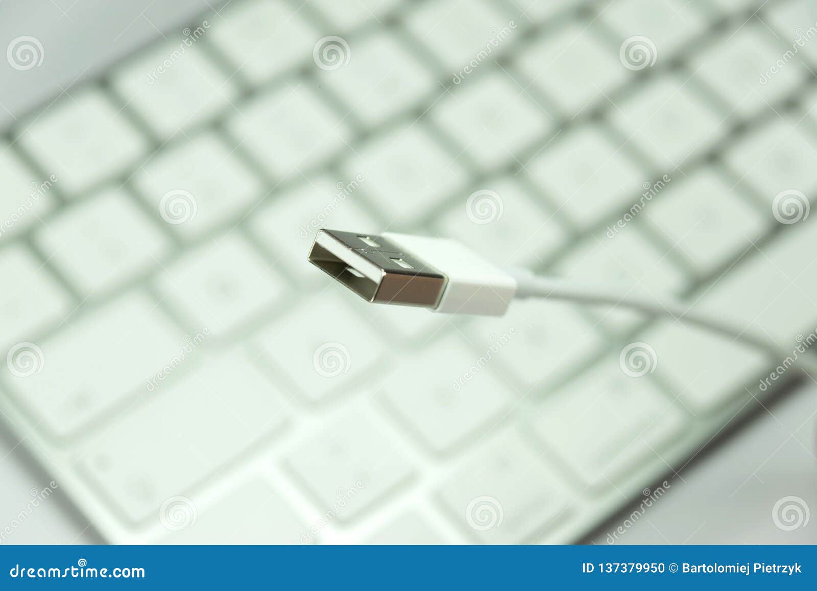 A USB cable and keyboard stock photo. Image of service 137379950