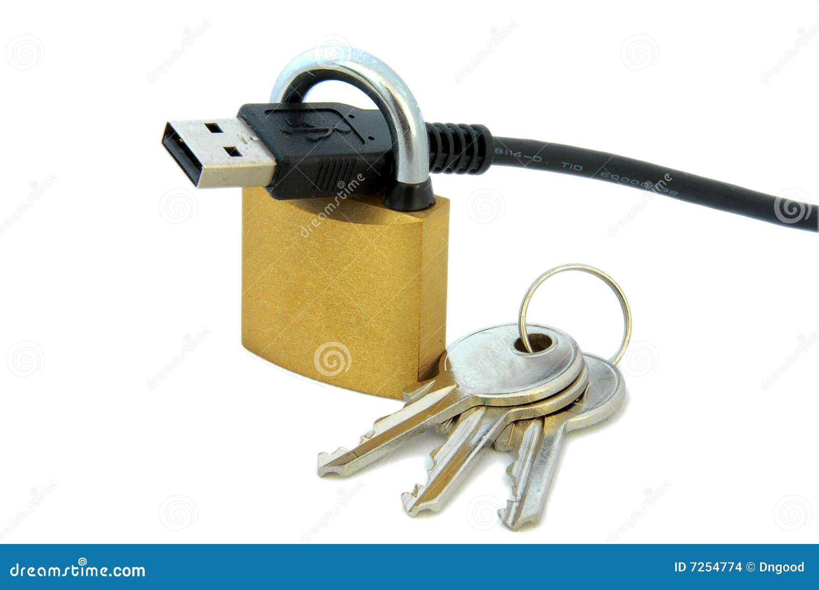 USB cable, lock and keys stock photo. Image of padlock 7254774