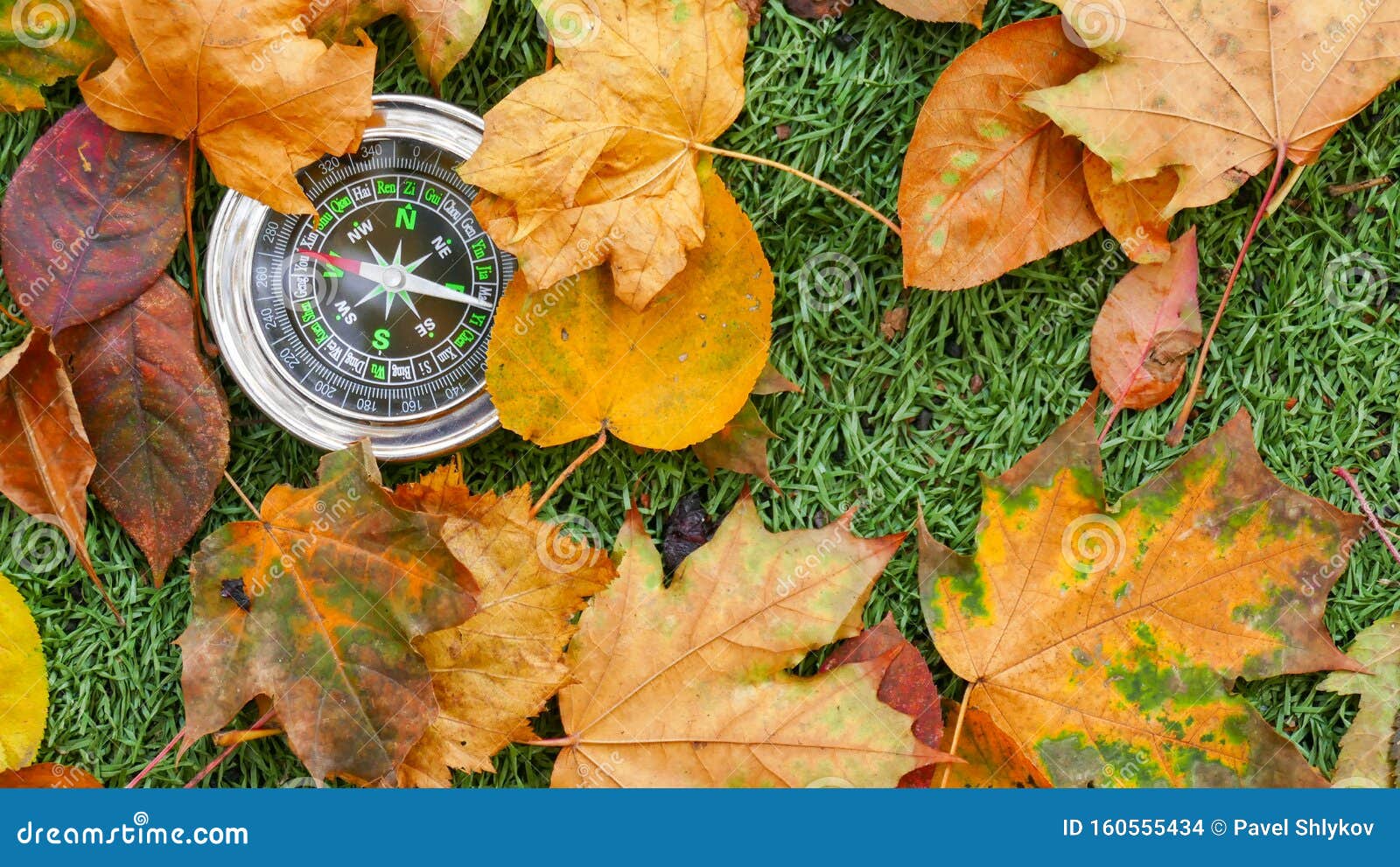 Use Compass in the Forest stock photo. Image of navigation 160555434