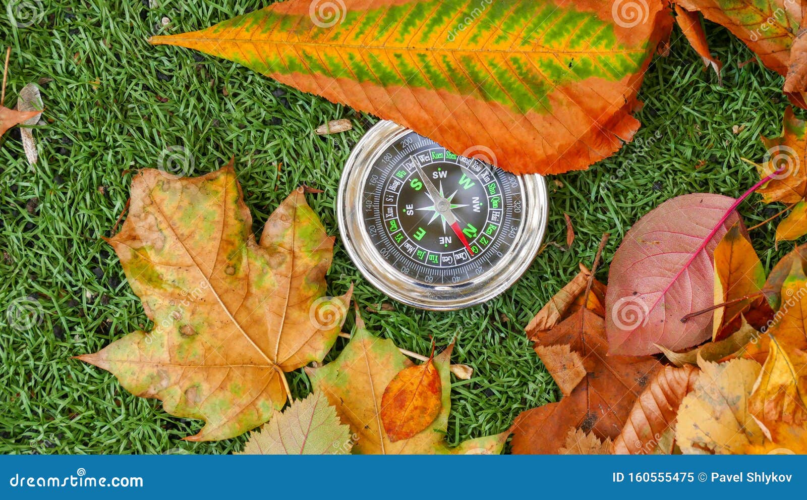 Use Compass in the Forest stock image. Image of discovery 160555475
