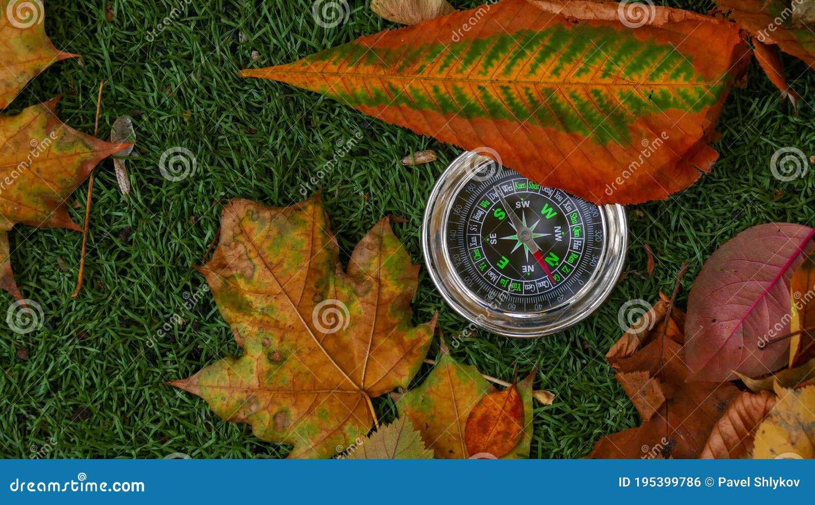 Use Compass in the Forest stock photo. Image of person 195399786