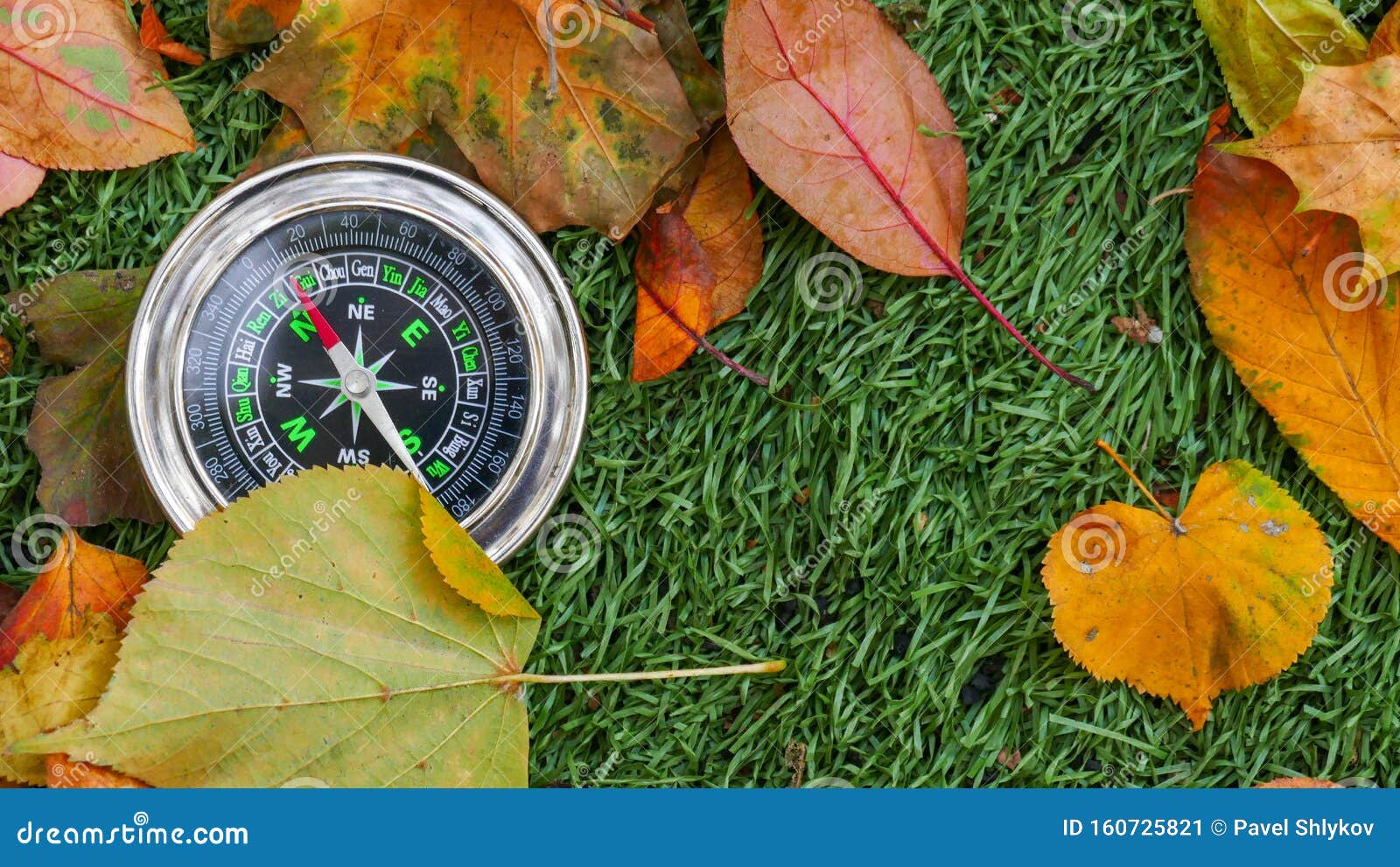 Use Compass in the Forest stock image. Image of navigation 160725821