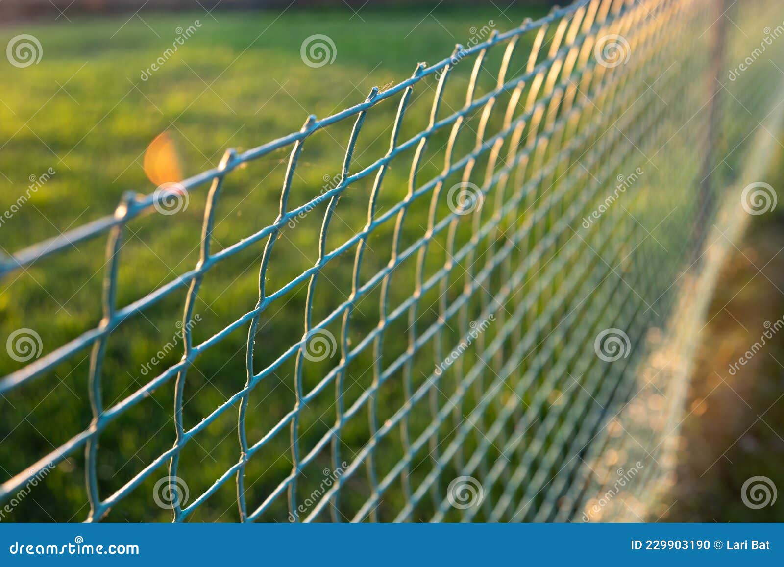 Use of Rolled Plastic Rolls for Lawn Fencing Stock Photo Image of nature, mesh 229903190