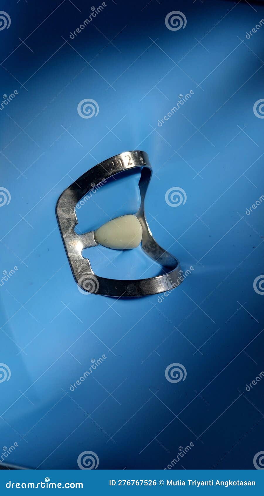 Use of Rubber Dam on Canine Teeth Stock Photo Image of font, lighting