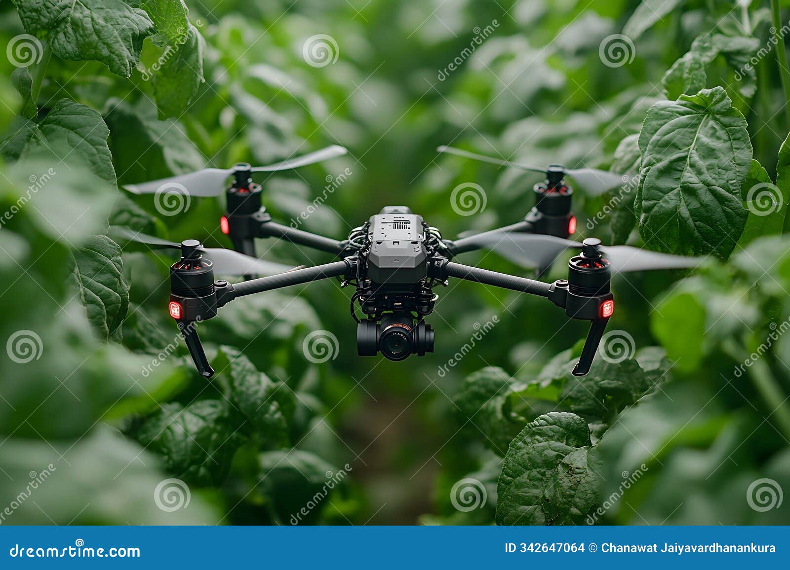 the use of technology and ai in cultivation helps increase efficiency by analyzing soil and water conditions, controlling growth,