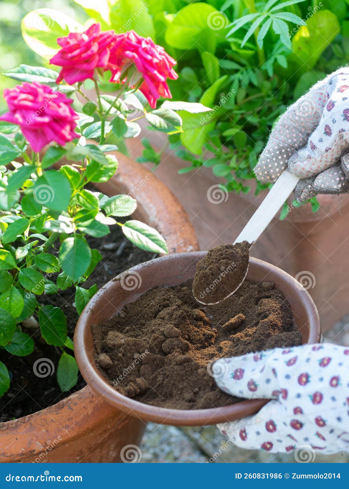 used coffee grounds as a compost. great fertilizer for plants and vegetables..