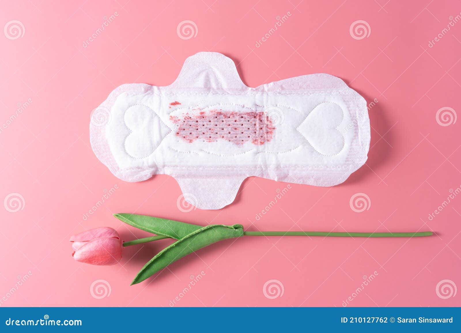 Used Sanitary Pad, Sanitary Napkin with Tulip Flower on Pink Background.  Menstruation, Feminine Hygiene, Top View Stock Photo - Image of care,  cotton: 210127762