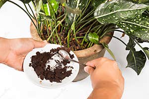 Coffee Grounds In A Filter Stock Image CartoonDealer 21601537