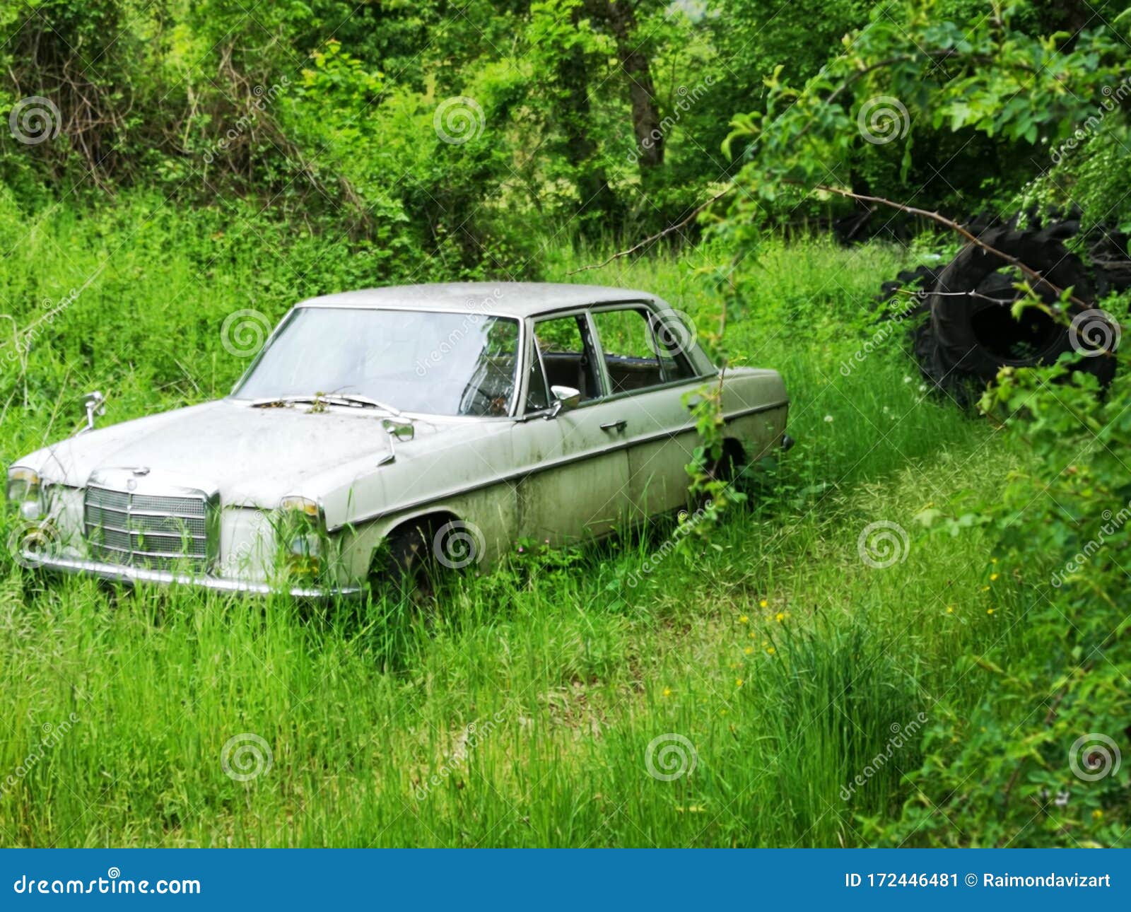 Old car in nature stock image. Image of pollute, tire 172446481