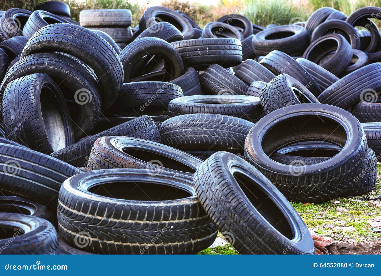 Used Tires in a Recycling Yard Stock Photo Image of friendly