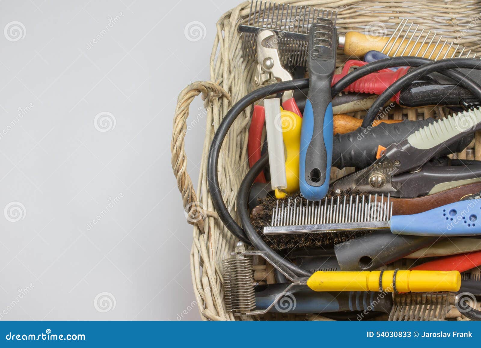 Used Tools for a Dog Grooming in Right Side of the Photo Stock Image Image of profession