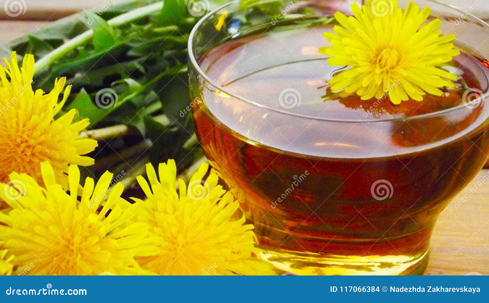 Beautiful Fluffy Dandelion. Stock Photo Image of dandelion, nature 117066384