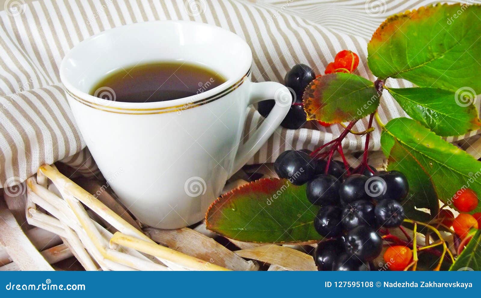 useful drink of rowan.