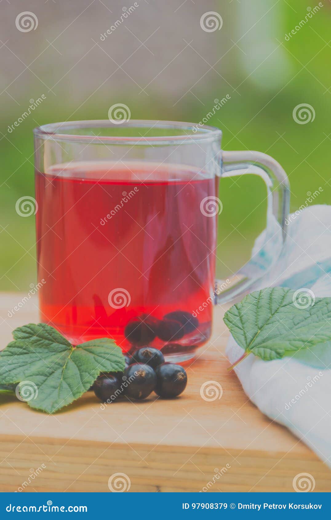 Useful Tea Made from Black Currant. Stock Image Image of medicine, green 97908379