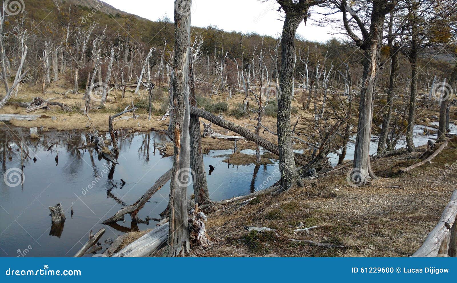 ushuaia - parque nacional