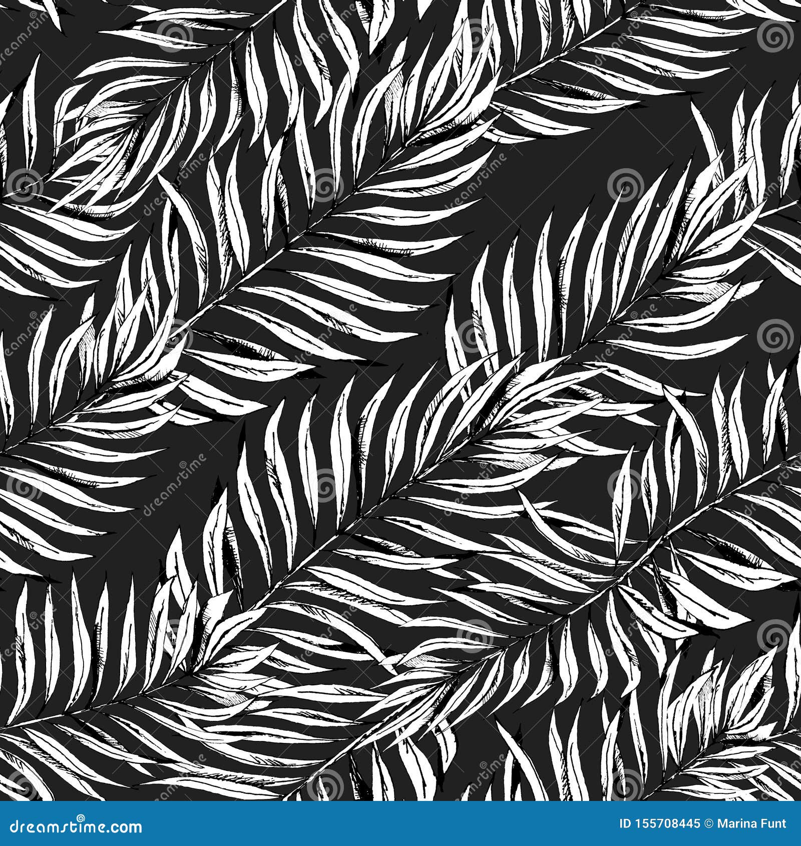 Téléchargement gratuit Images Usine Graphique Des Palmettes Du Tropique Fond Noir Et Blanc De le plus cool par