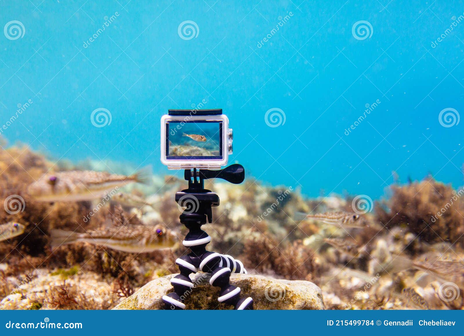 using action-camera in waterproof box to make photos and video underwater