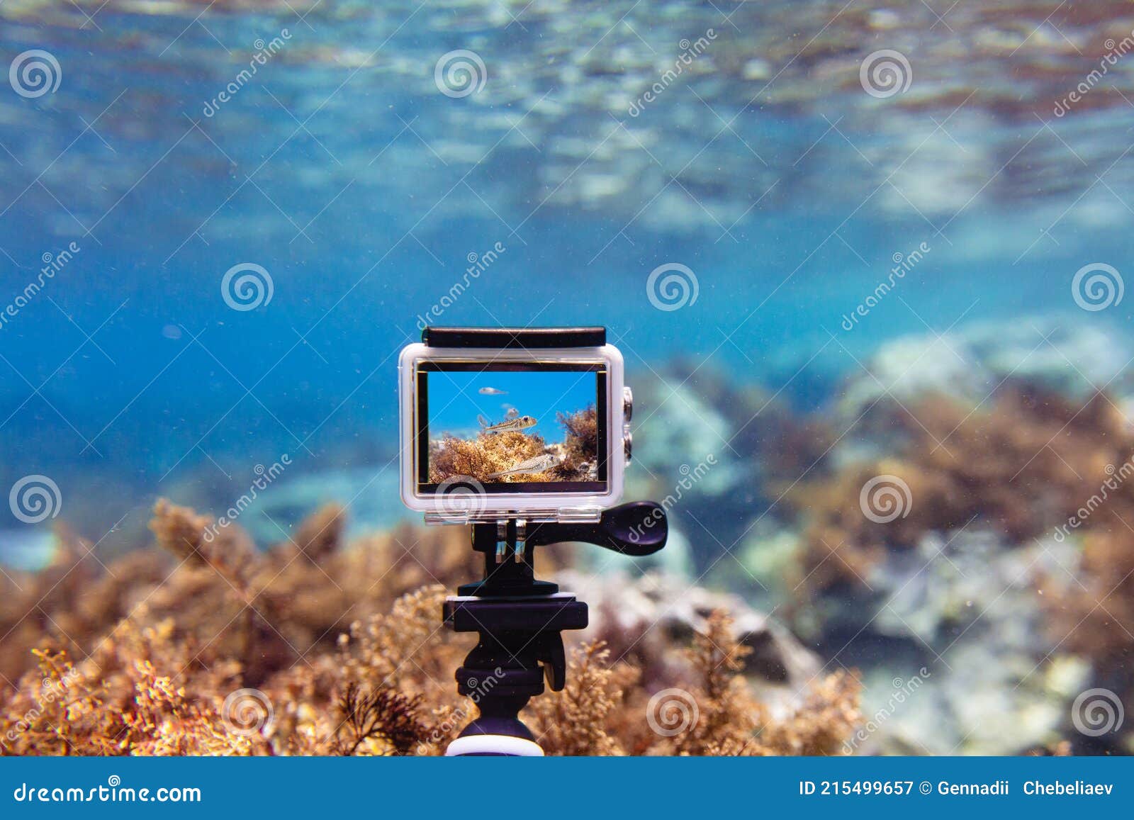 using action-camera in waterproof box to make photos and video underwater