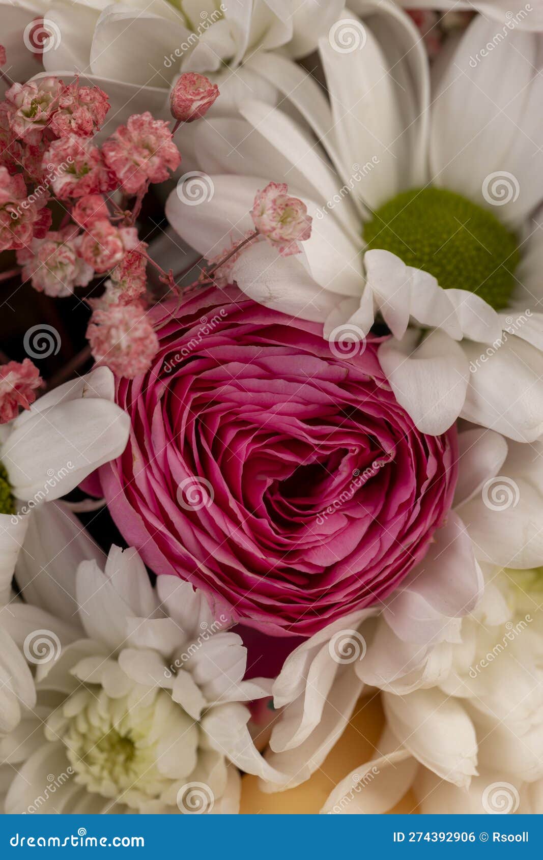 Using Different Types of Flowers To Create a Small Bouquet for a Holiday Stock Photo Image of