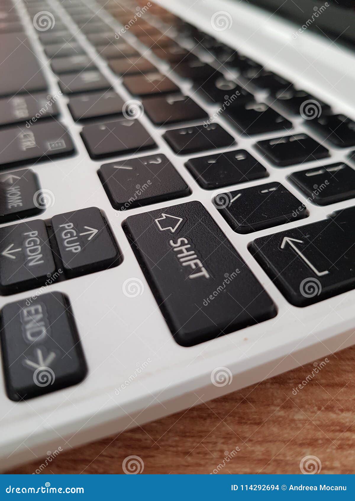 Using my laptop stock photo. Image of laptop, view, nice 114292694