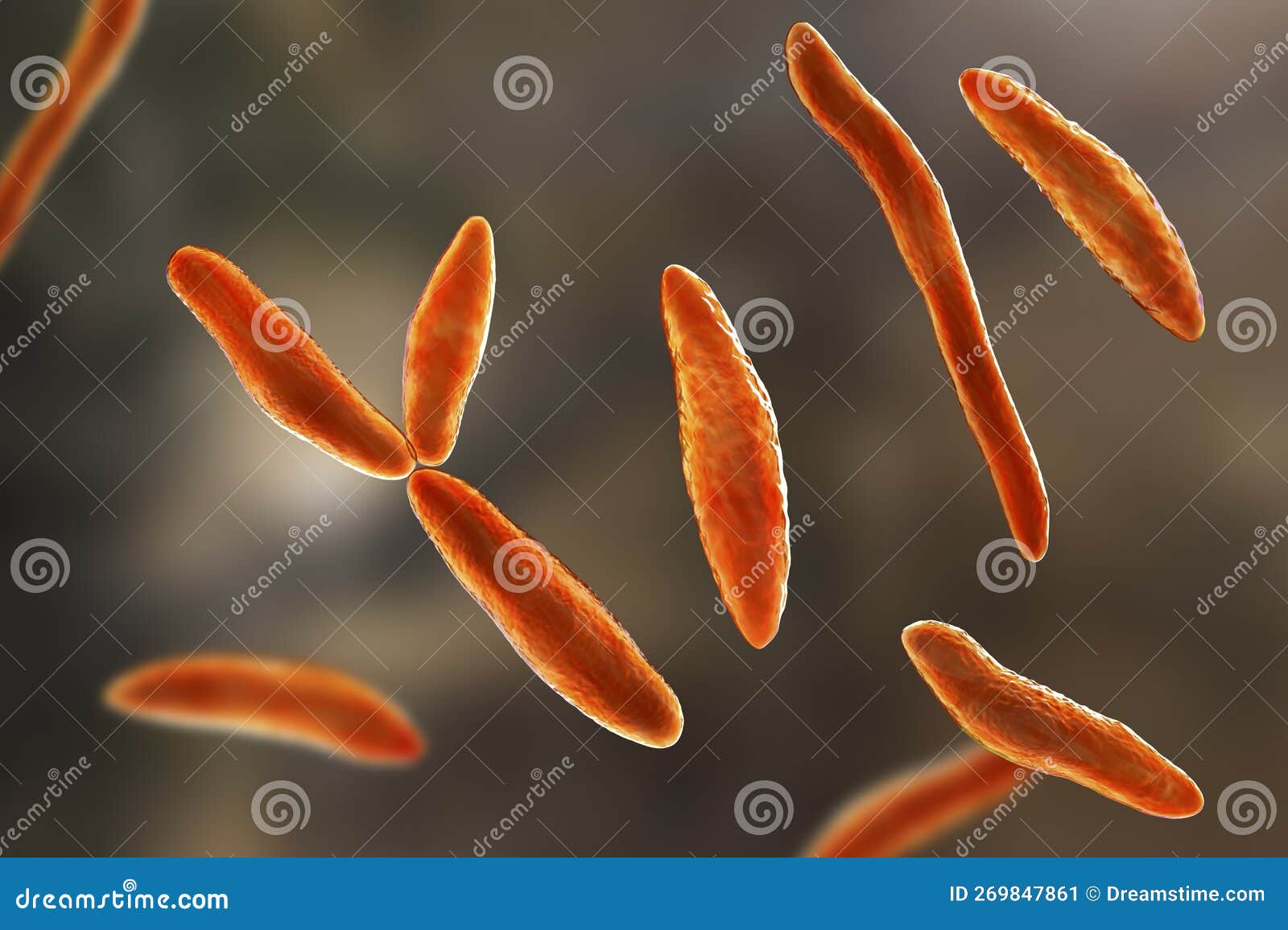 Ustilago Maydis, a Fungal Pathogen Affecting Corn Plants. 3D