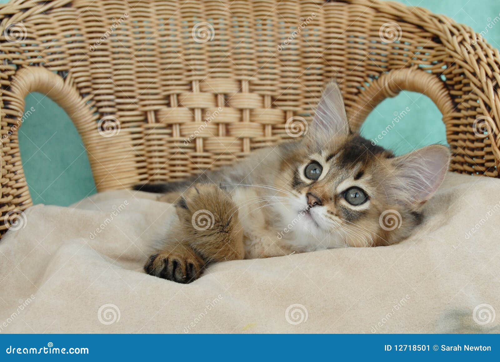 Image showcasing 43 Boho Decor Ideas for a Laidback Look You'll Love