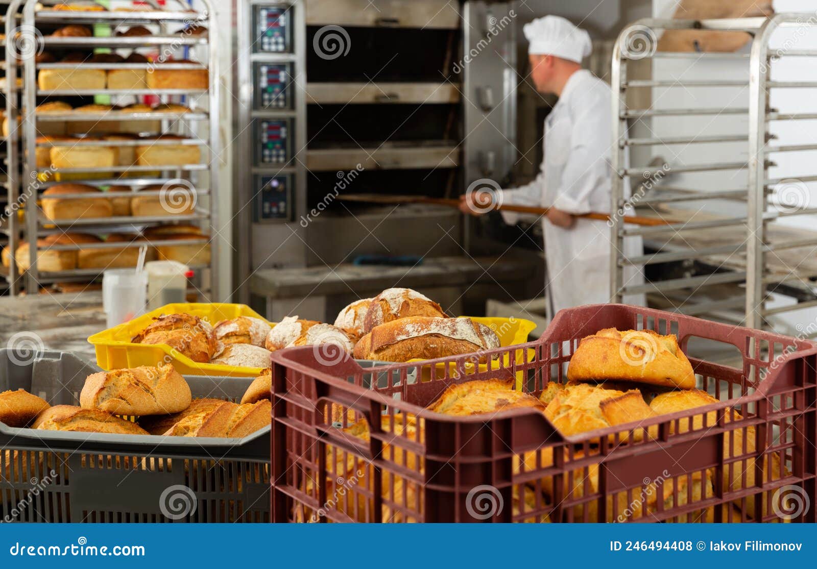 Usual Work of Baker in a Bakery Stock Photo Image of caucasian