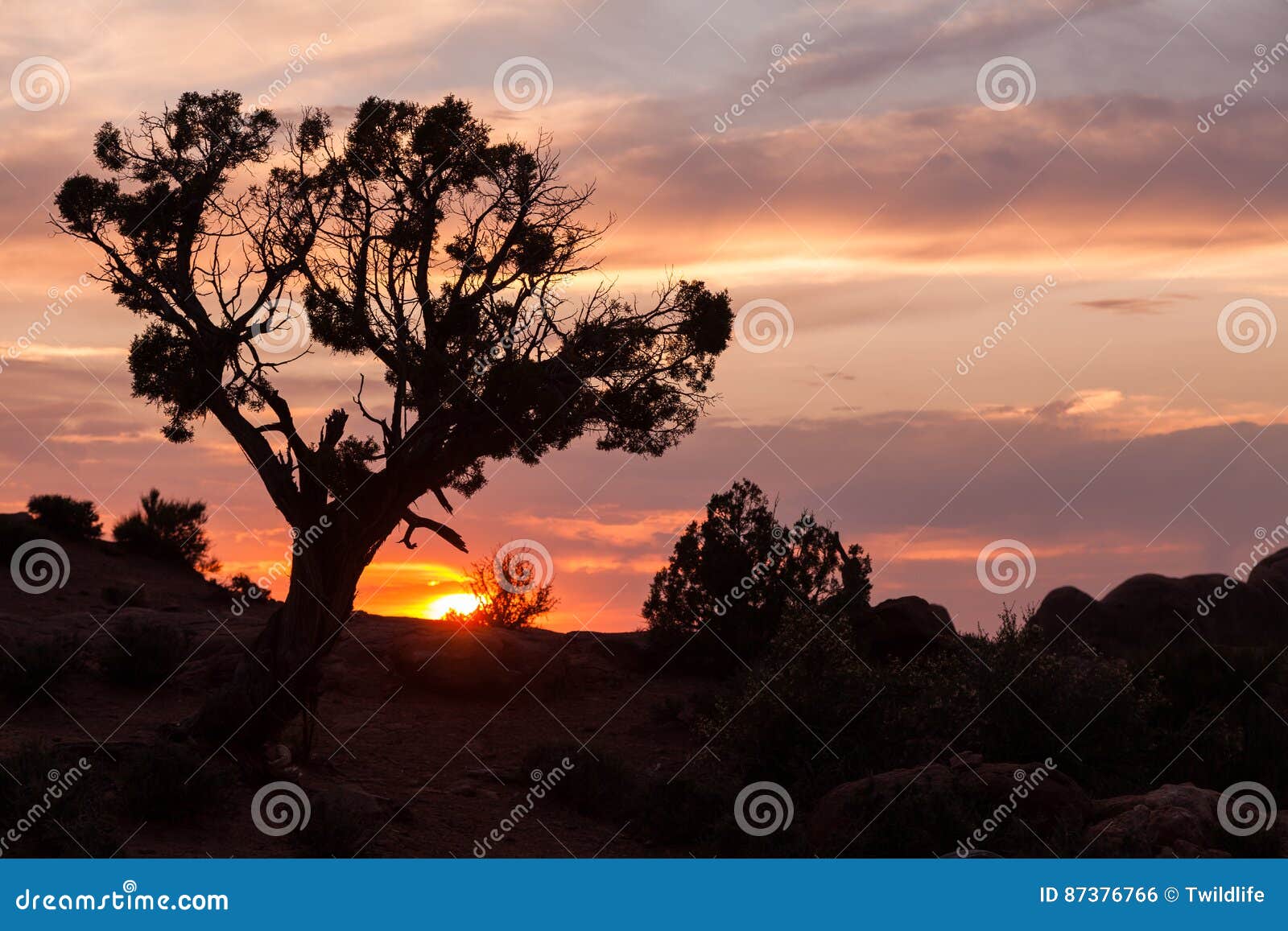 Utah Desert Sunset stock photo. Image of sunrise, wilderness 87376766