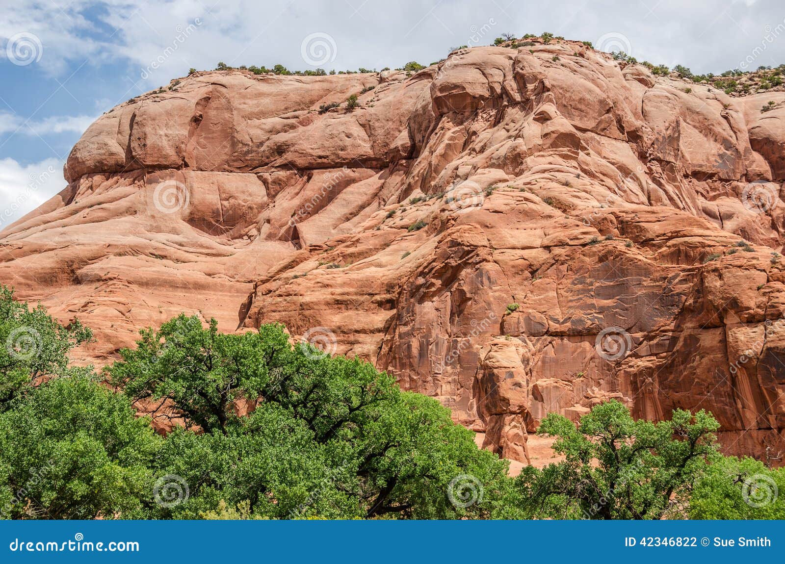 Utah Red Sandstone stock photo. Image of scenic, scenery 42346822