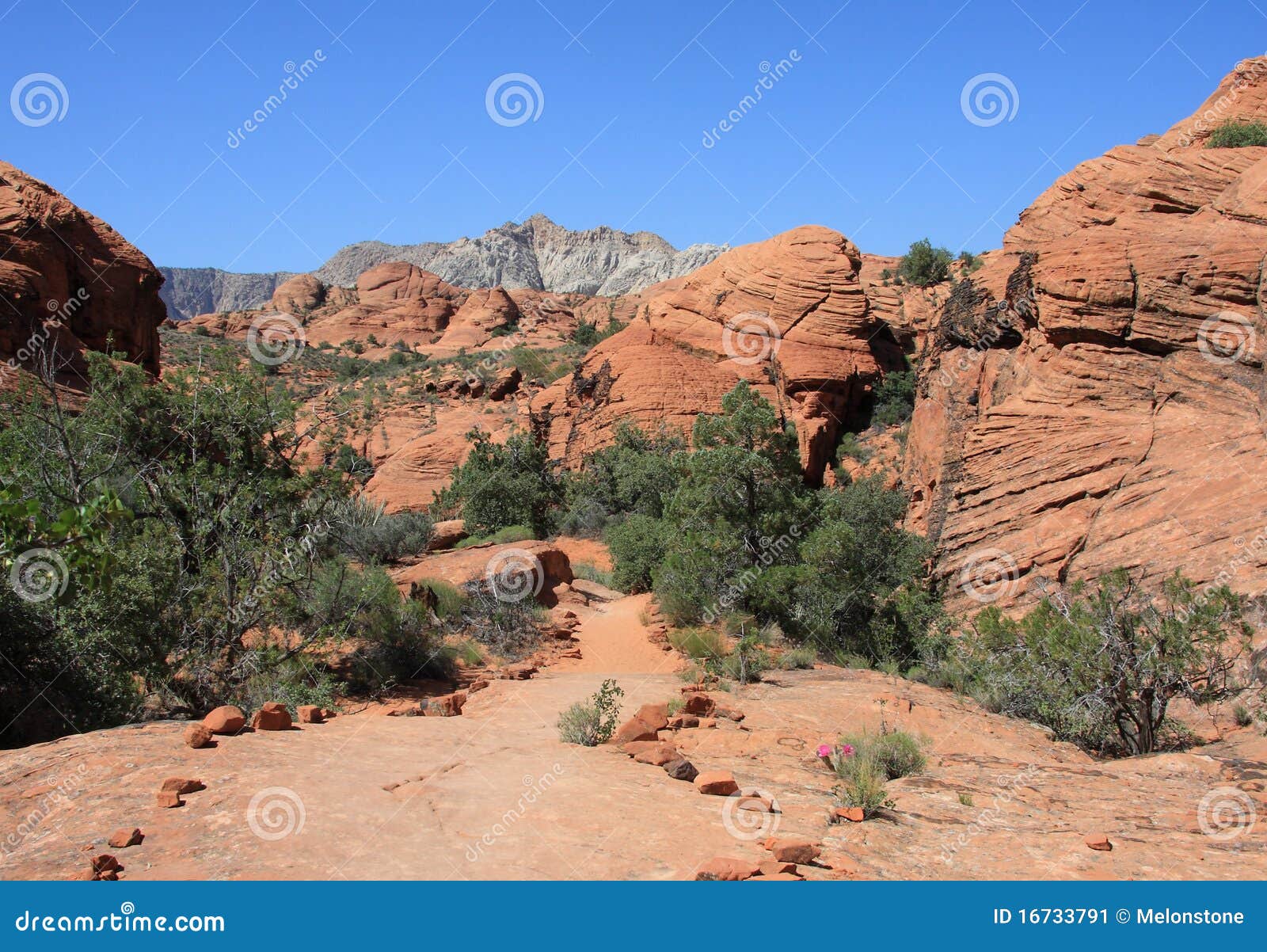 Utah rock formations stock image. Image of blue, colourful 16733791