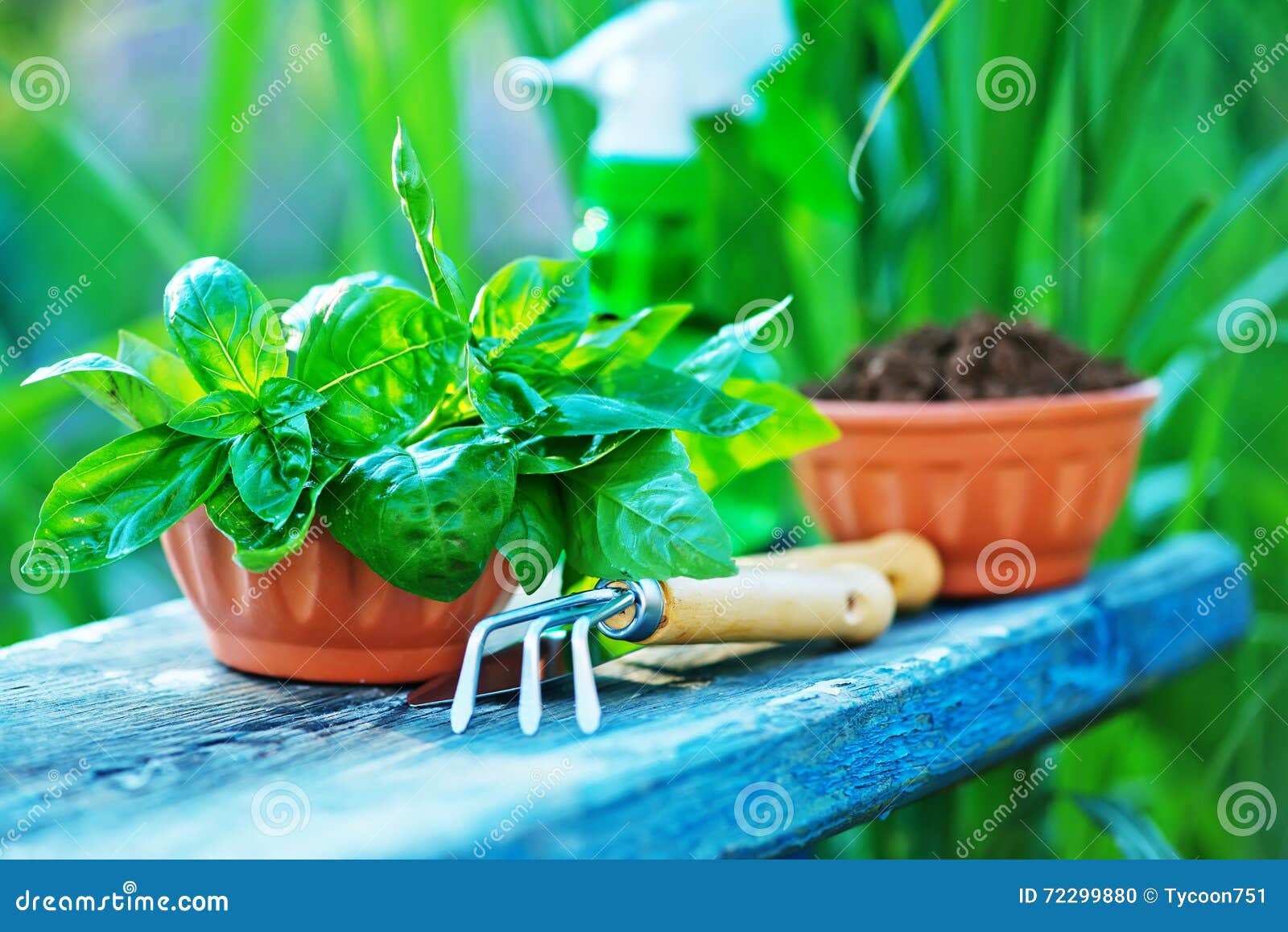 Utensílio de jardinagem em uma tabela no jardim