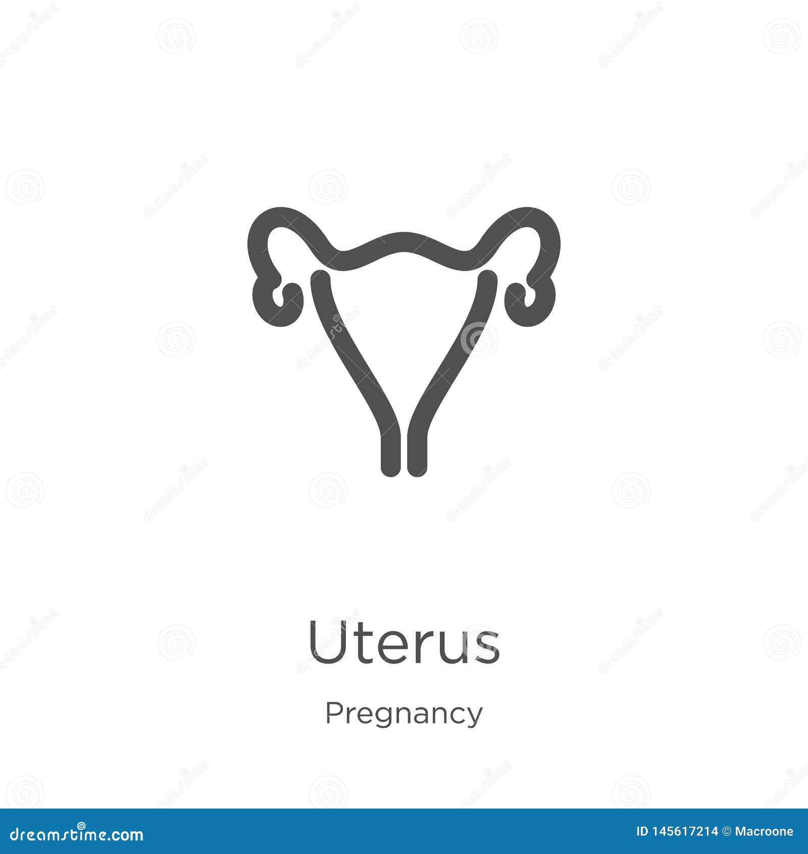 uterus icon vector from human body collection. Thin line uterus