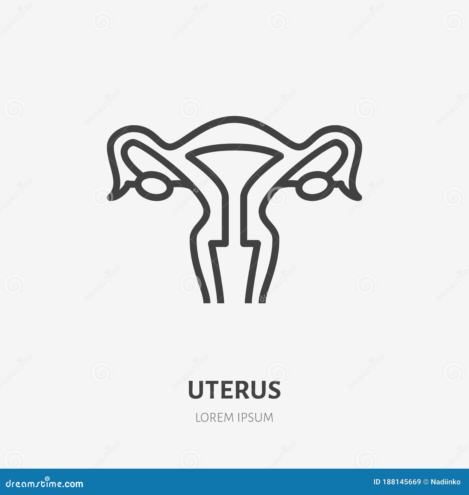 uterus line icon,  pictogram of female organ. womb , sign for gynecology clinic