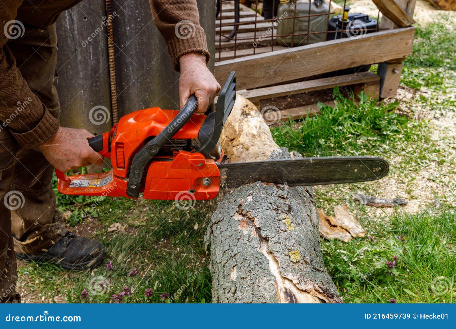 Utilisation D'une Tronçonneuse Pour Bois De Chauffage Image stock - Image  du matériel, bois: 216459739