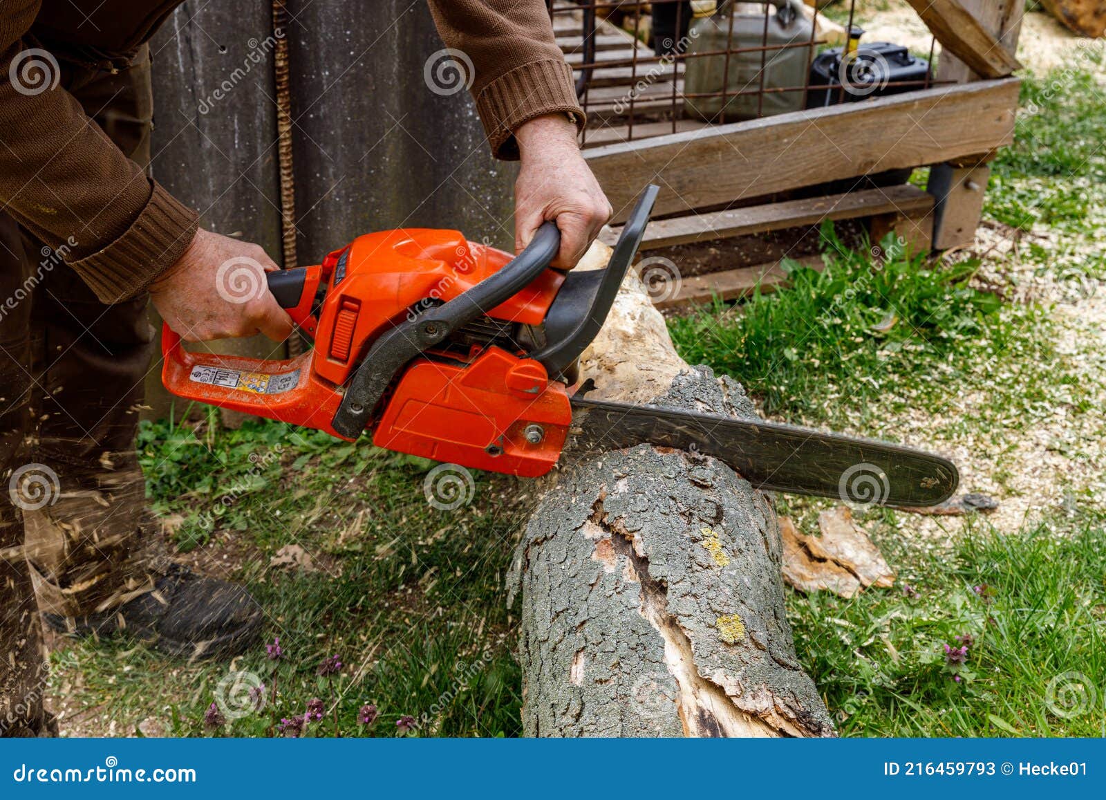 Utilisation D'une Tronçonneuse Pour Bois De Chauffage Photo stock - Image  du arbre, matériel: 216461194