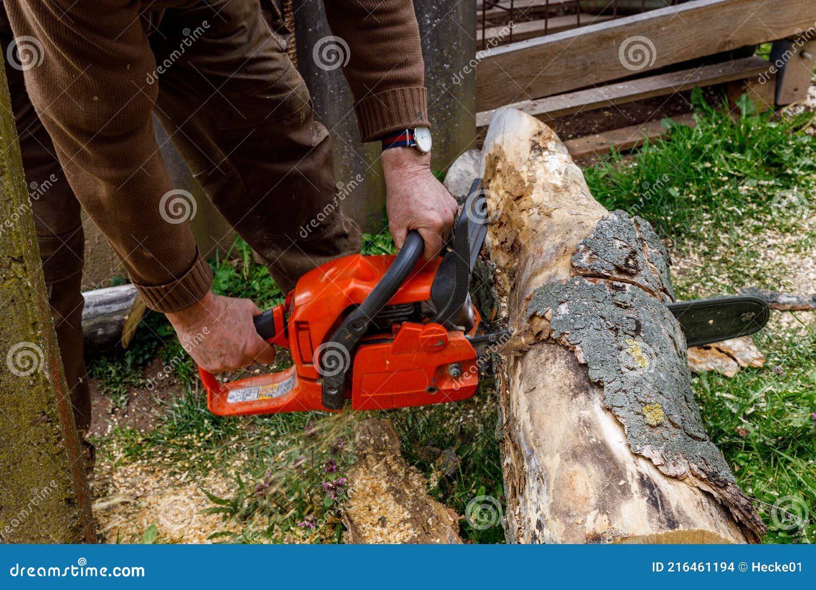 Utilisation D'une Tronçonneuse Pour Bois De Chauffage Photo stock - Image  du arbre, matériel: 216461194