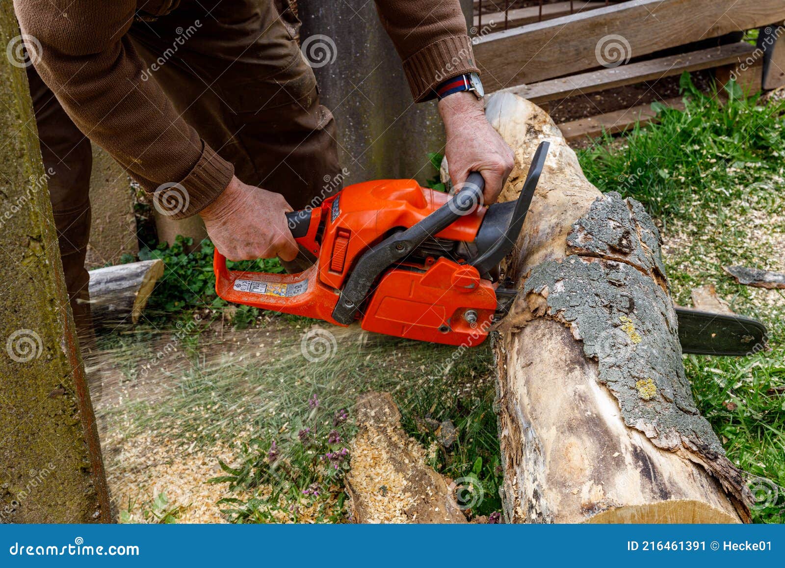 Utilisation D'une Tronçonneuse Pour Bois De Chauffage Image stock - Image  du extérieur, découpage: 216461391