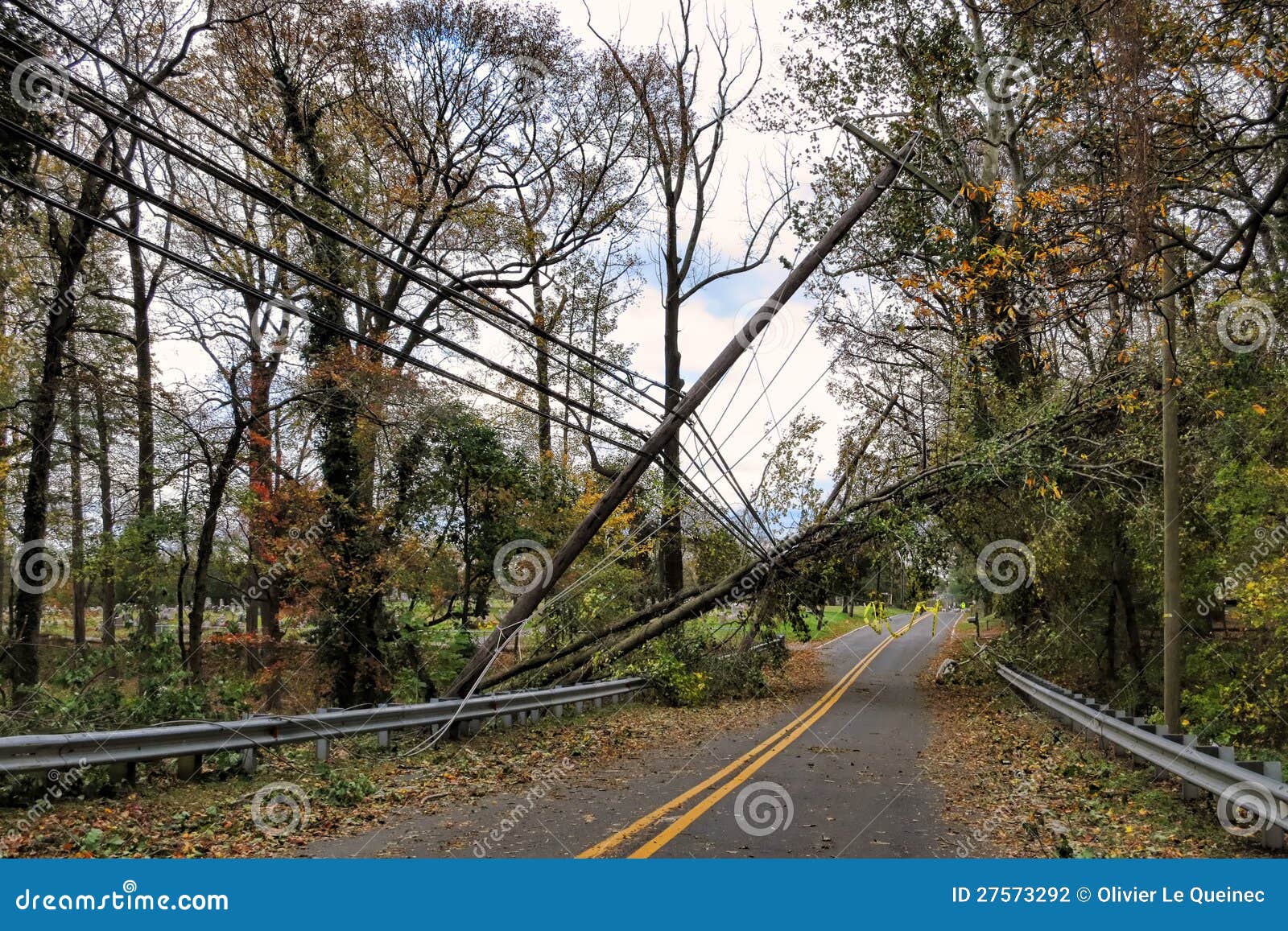 Utility Power Line and Pole Toppled by Fallen Tree Stock Photo Image