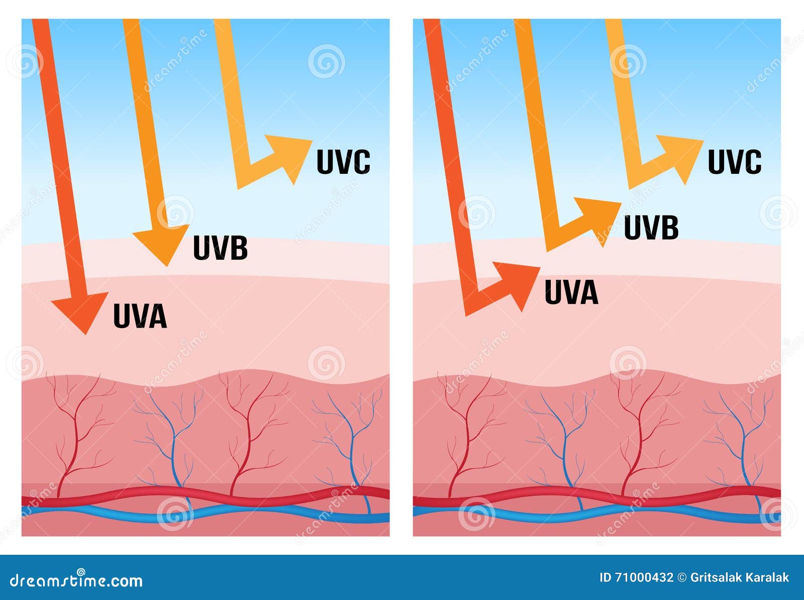 Какое действие оказывает на кожу uva лучи