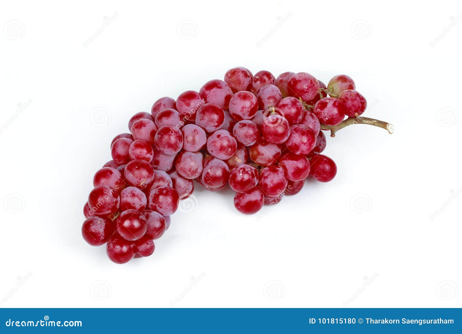 Rizoma Di Uva Dolce Senza Semi - Resistente, Facile Da Coltivare, Per Giardino O Vaso | Goditi Uva Fresca E Dolce - Foto 6