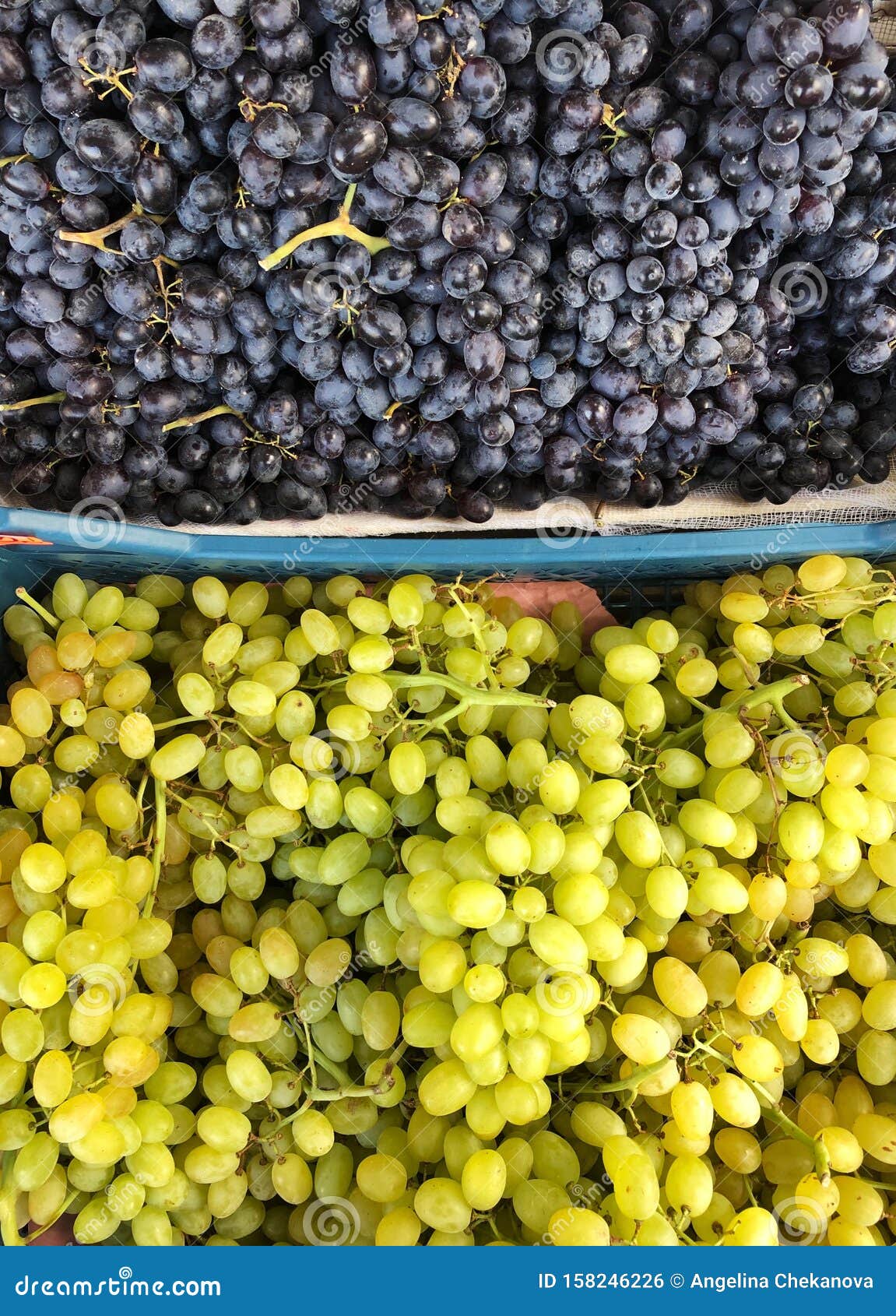 Uvas Verdes Y Rojas En El Mercado Foto de archivo Imagen de agua