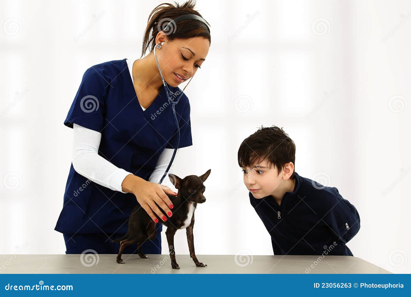 Vétérinaire Et Enfant Avec Le Chiwawa Image stock - Image du coupure,  copie: 23056263