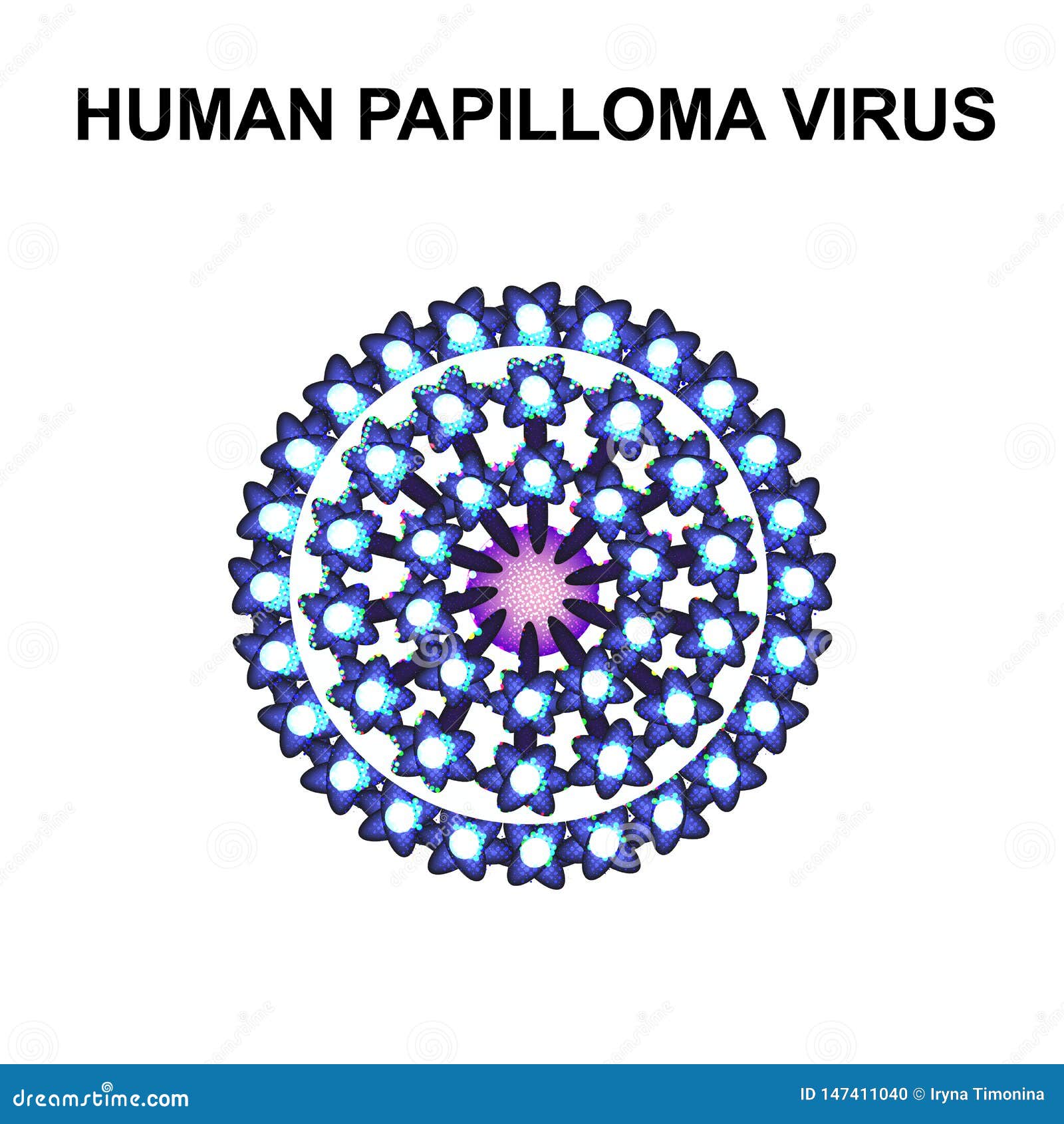 human papilloma viruses