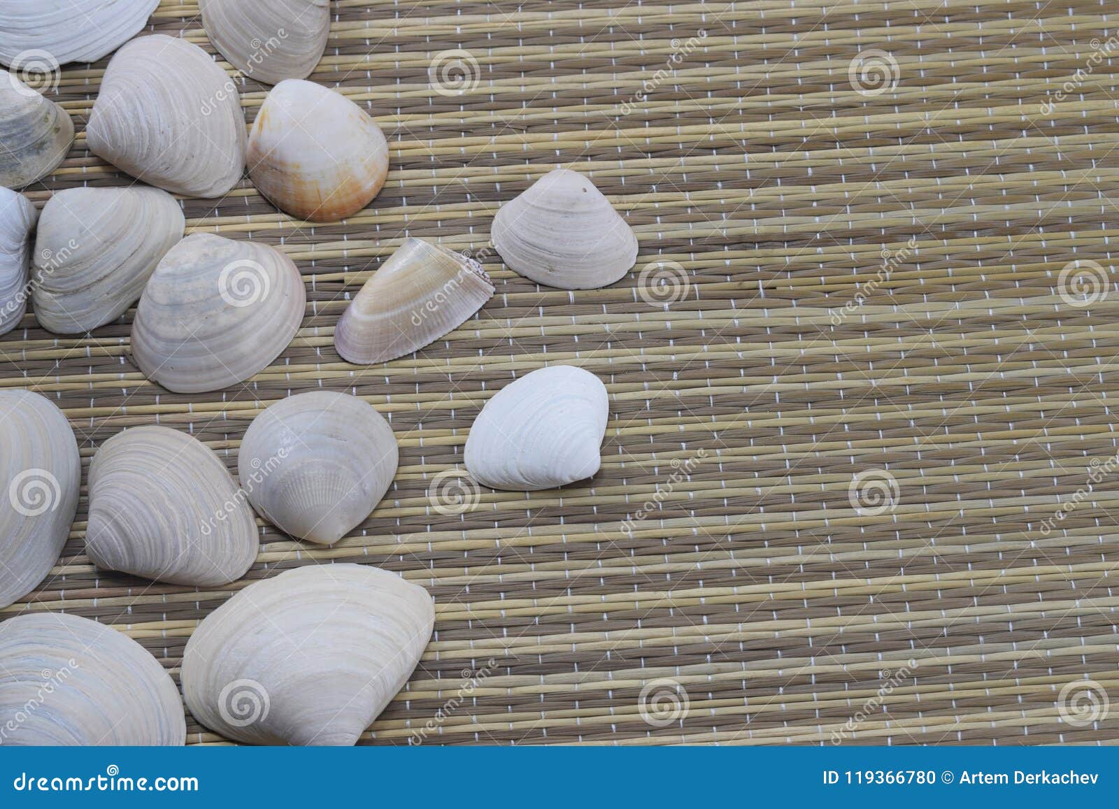 vacaciones, seashells lie on the beach cover