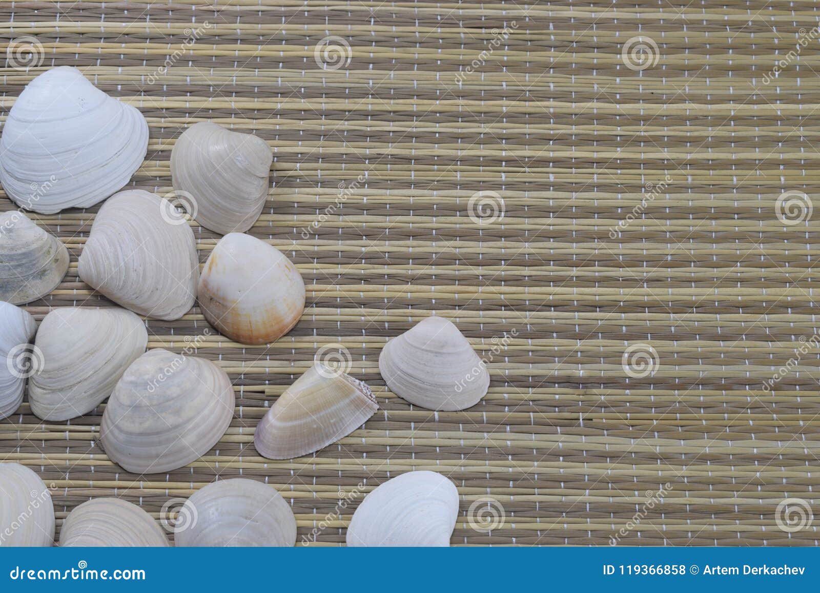 vacaciones, seashells lie on the beach cover