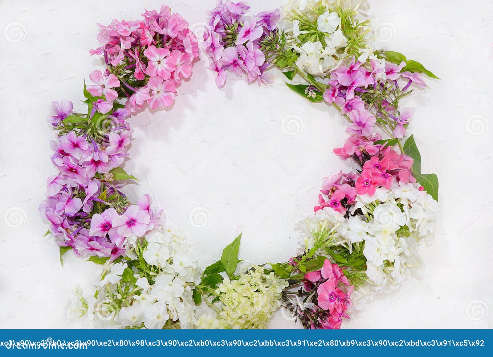 19 416 Fond De Carte De Joyeux Anniversaire Photos Libres De Droits Et Gratuites De Dreamstime 19 416 Fond De Carte De Joyeux Anniversaire Photos Libres De Droits Et Gratuites De Dreamstime